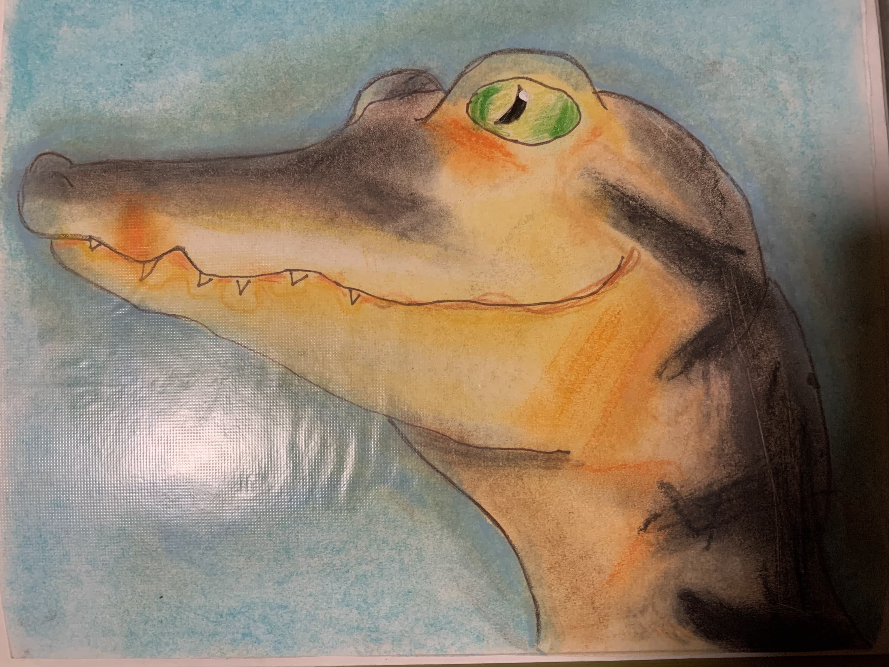 The Smiling Crocodile